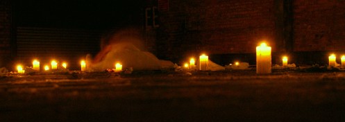 Homage to a Falling City, Beatrice Jarvis