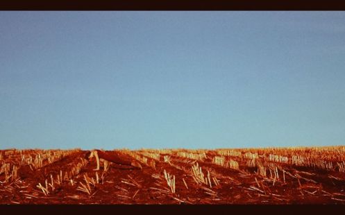 1450862_10204578785442257_388097301752044081_n