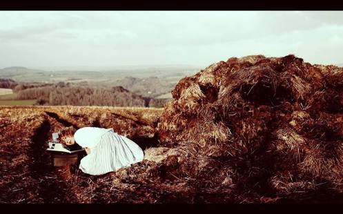 1795477_10204533276944573_2186310826754344163_n